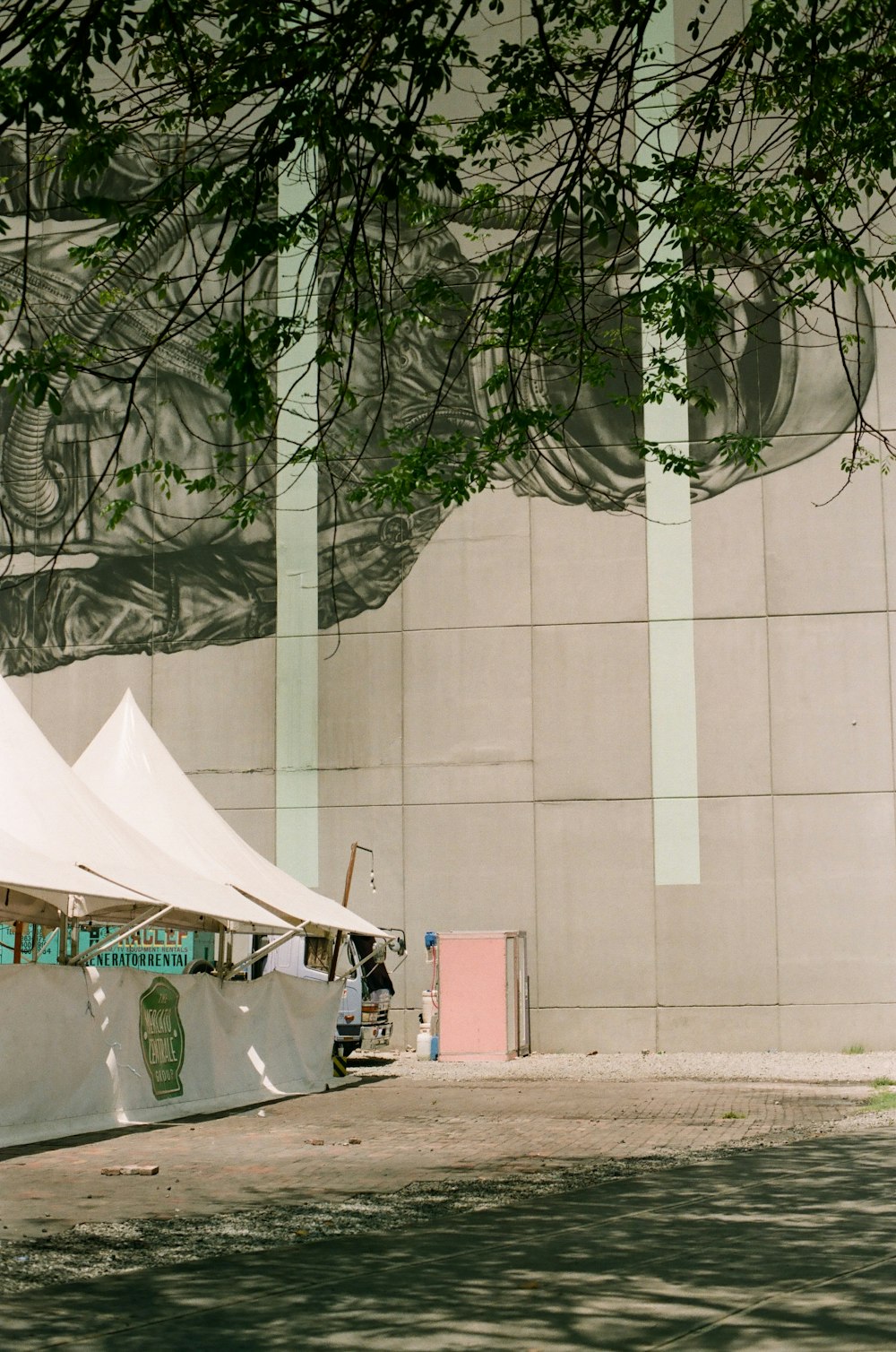 white umbrella near green tree