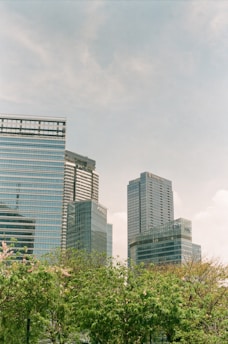 Tall, modern skyscrapers with reflective glass windows rise above a lush green canopy of trees under a clear blue sky. The buildings have a sleek design with visible structural lines and appear to be part of an urban business district.