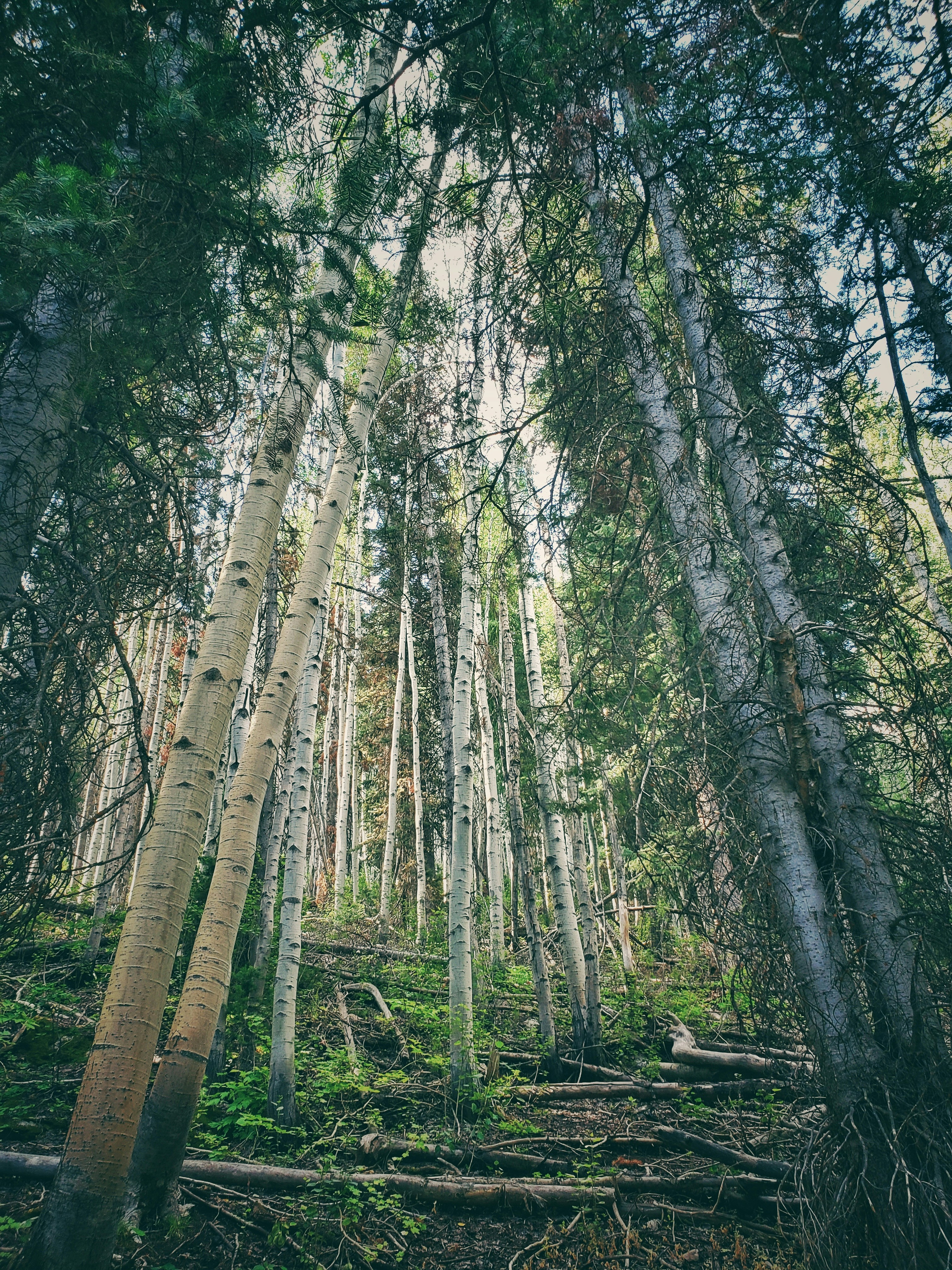 Photo by joshua_hoehne