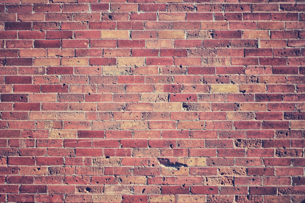 brown and white brick wall