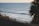Surfers ride gentle waves in the ocean with a palm tree silhouette framing the right side of the scene. The water extends into the horizon under a clear sky, creating a serene beach atmosphere.
