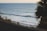 Surfers ride gentle waves in the ocean with a palm tree silhouette framing the right side of the scene. The water extends into the horizon under a clear sky, creating a serene beach atmosphere.