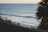 Surfers ride gentle waves in the ocean with a palm tree silhouette framing the right side of the scene. The water extends into the horizon under a clear sky, creating a serene beach atmosphere.