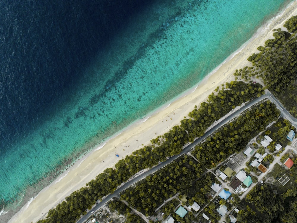 aerial view of city buildings near body of water during daytime