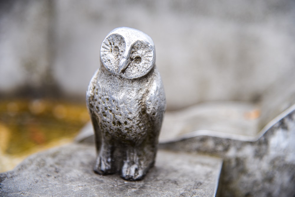 gray ceramic owl figurine on brown wooden table
