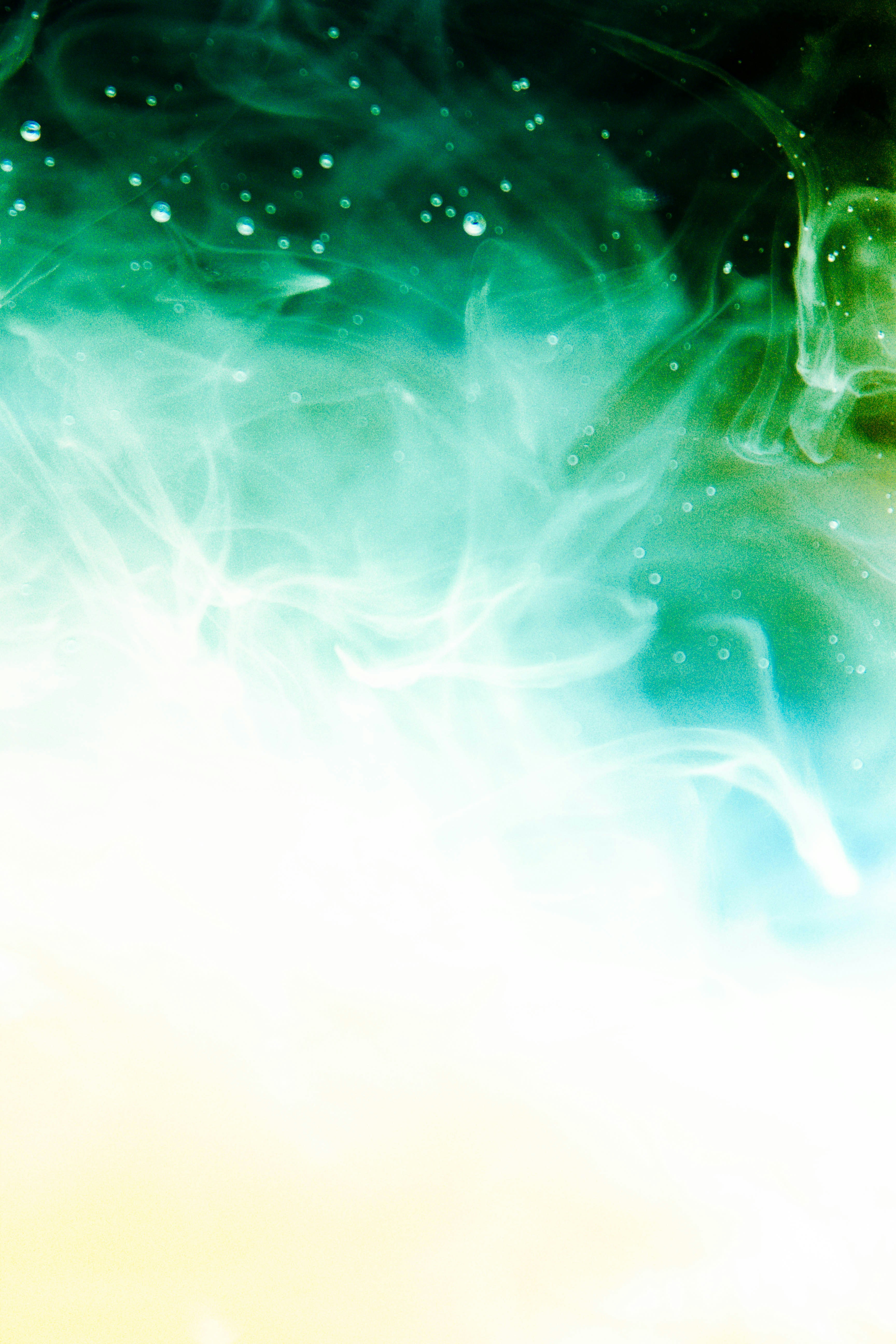 Photo by honeyyanibel