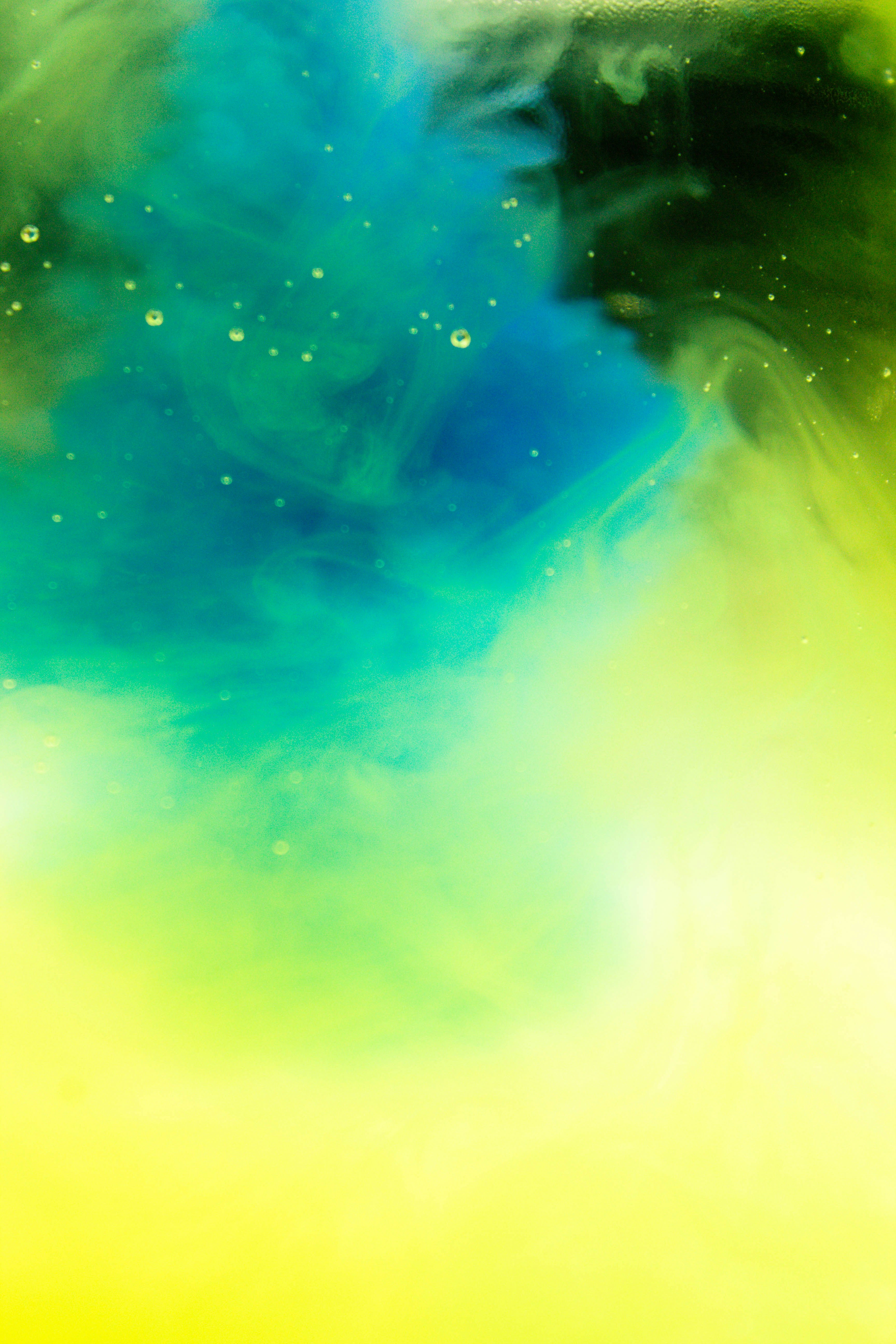 Photo by honeyyanibel