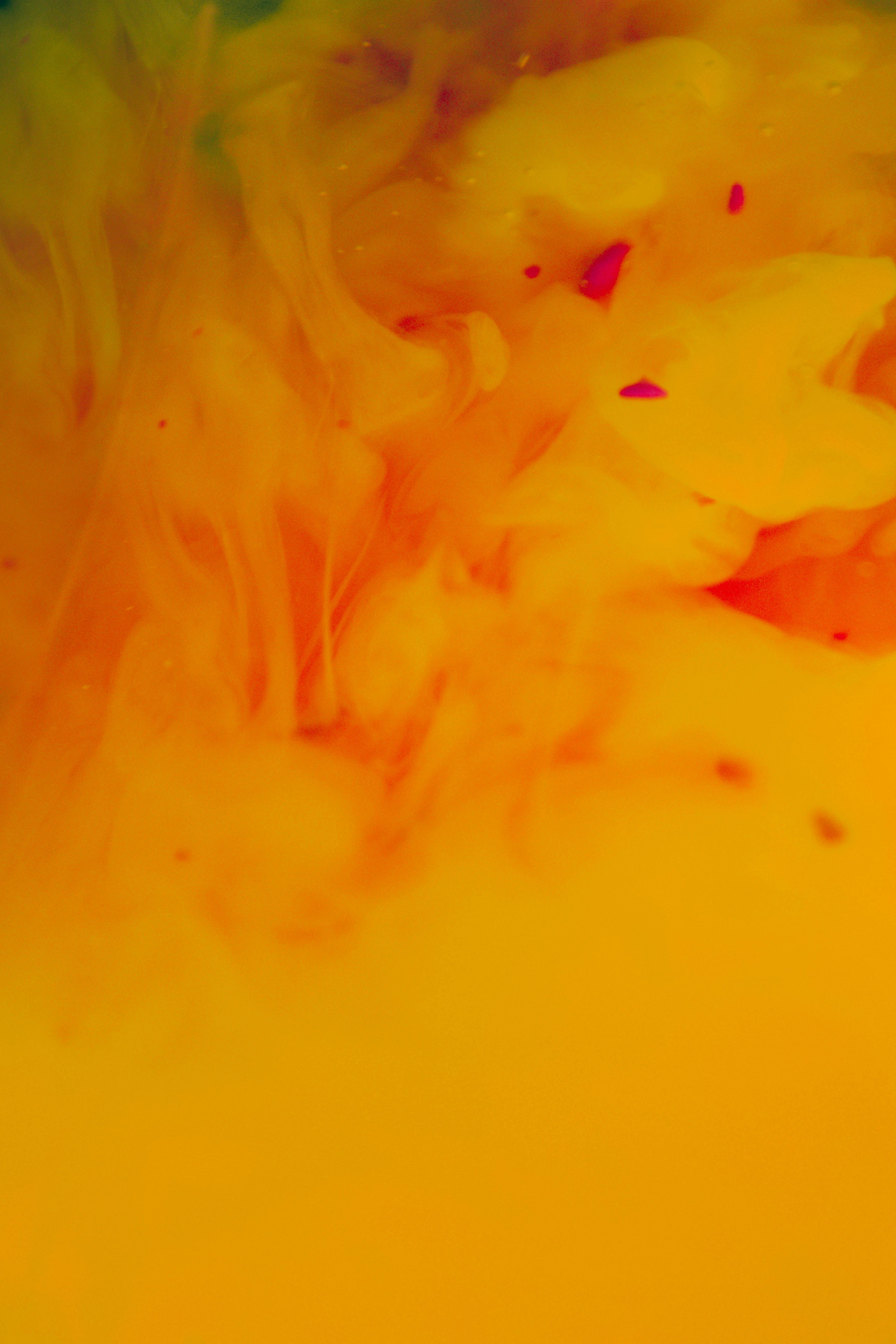 Photo by honeyyanibel