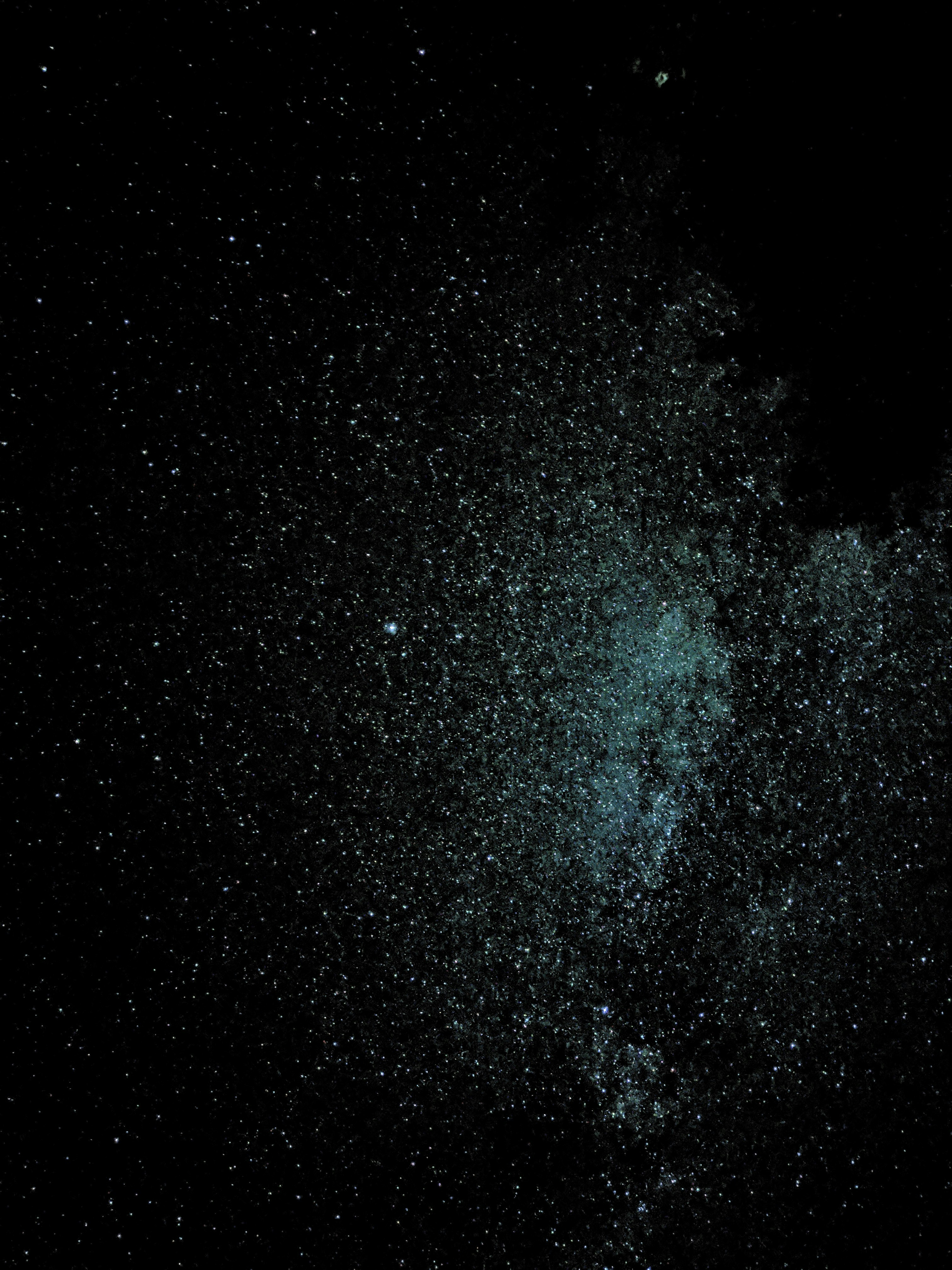 Photo by jeslynnphotography