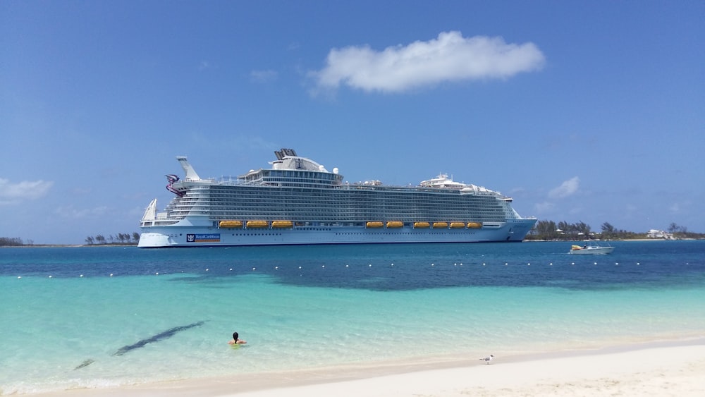 weißes Kreuzfahrtschiff tagsüber auf See