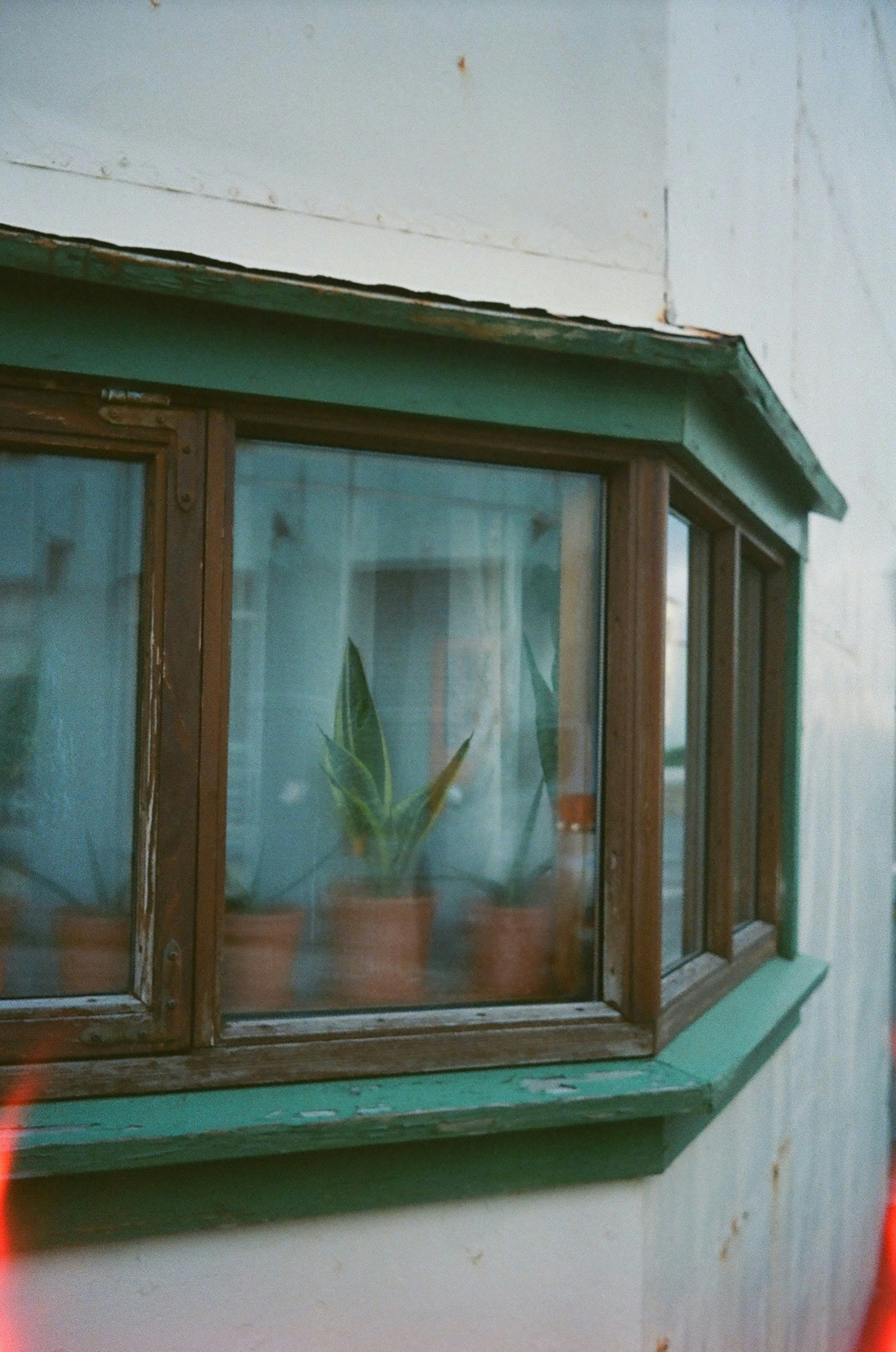 Photo by dorienmonnens