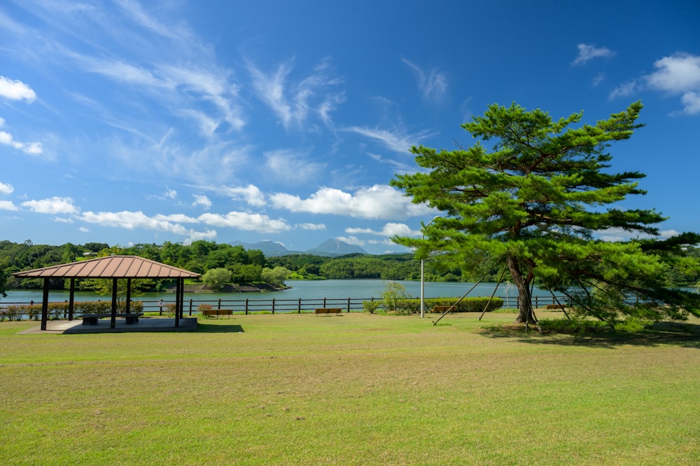 brown wooden house on green grass field under blue sky during daytime