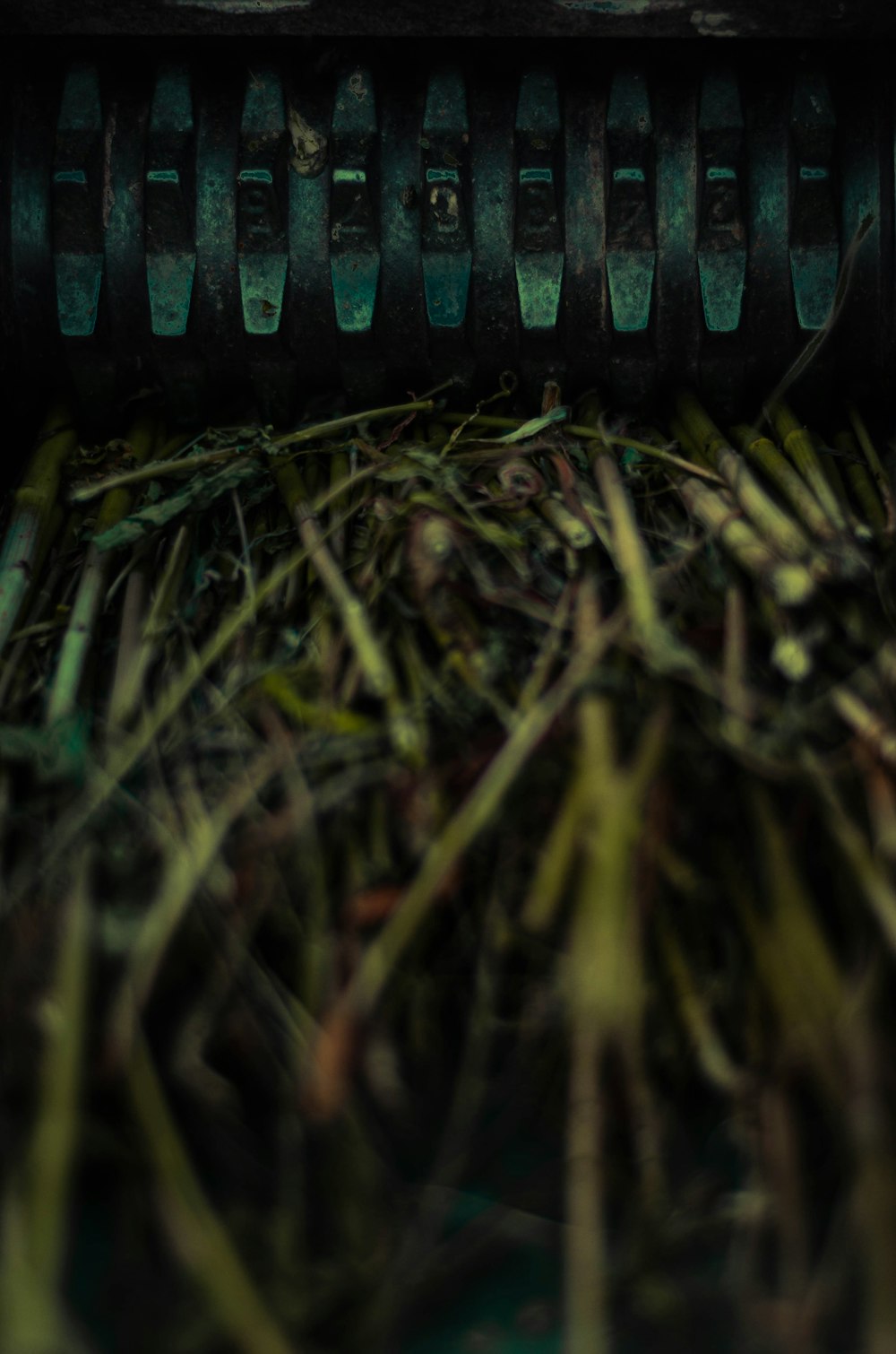 black plastic hair comb on green grass