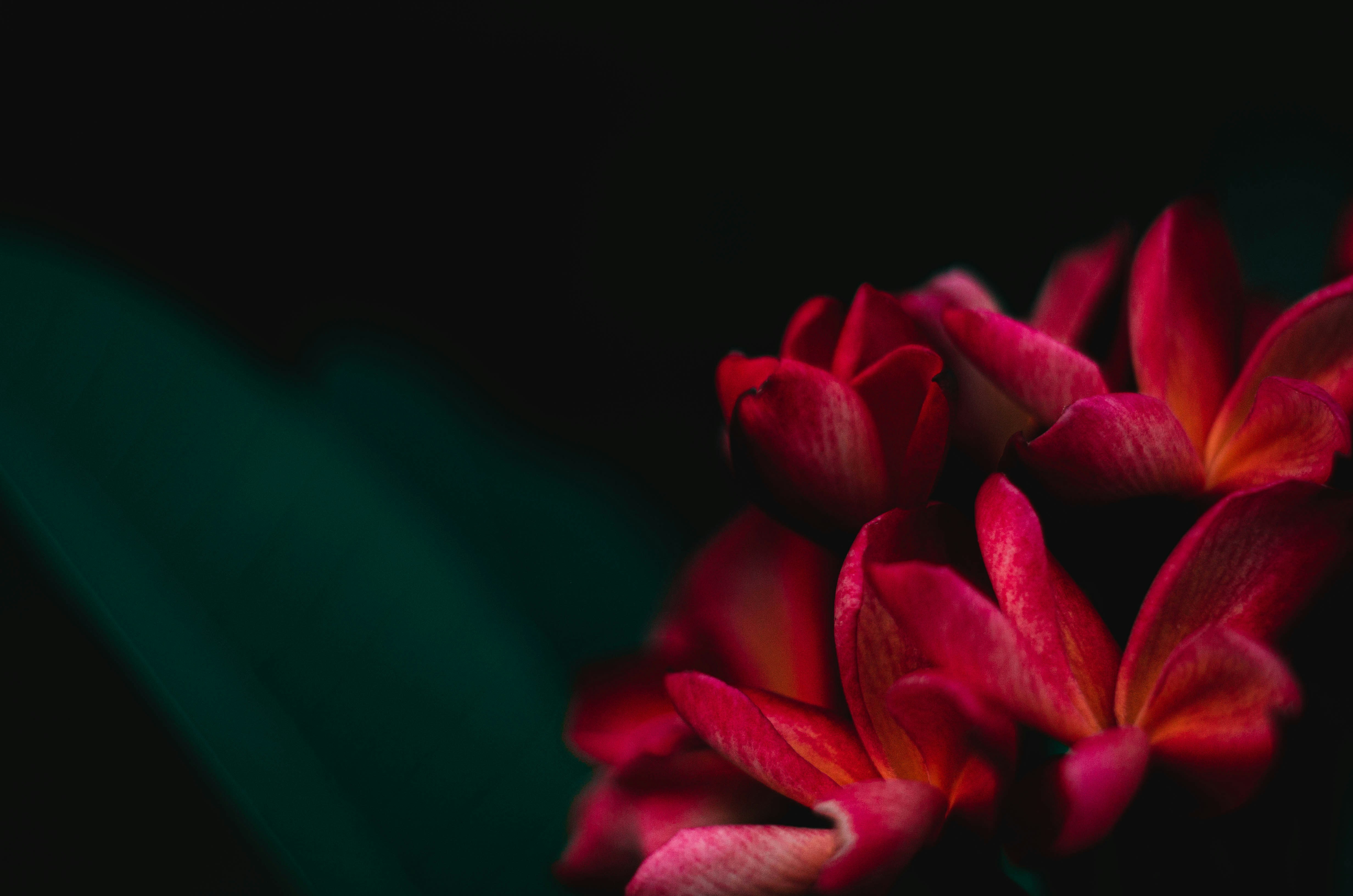 Photo by aditi_gautam