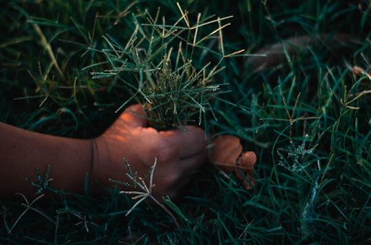 persons feet on green grass