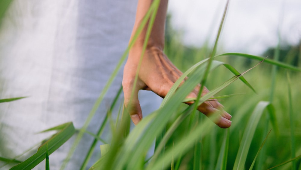 piedi di persone su erba verde