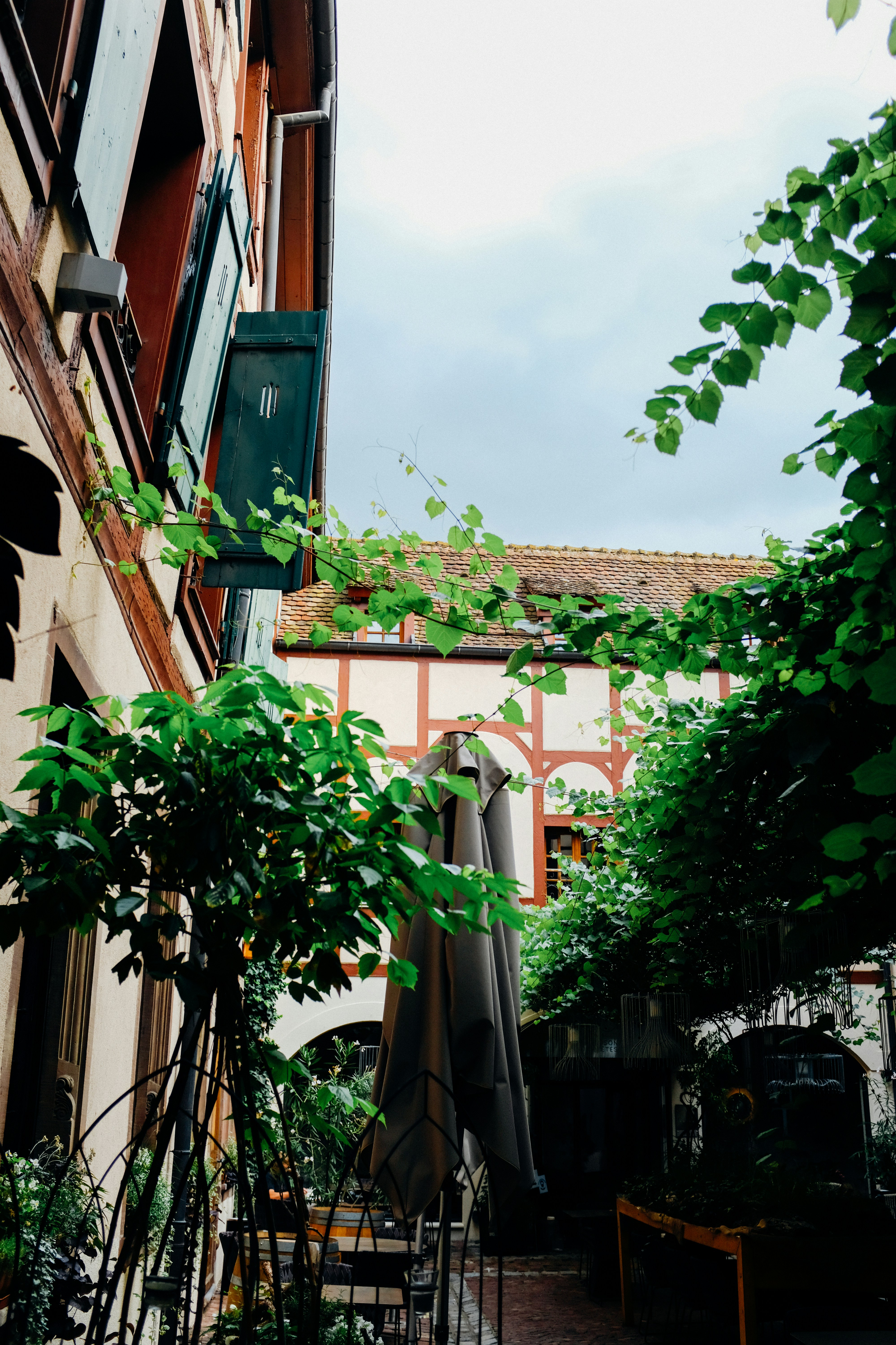 Photo by adrienolichon