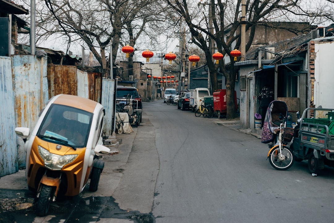 cars parked on sidewalk near bare trees during daytime