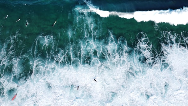 Aerial shot of surfers riding waves at a sunny beach in the Região dos Lagos.
