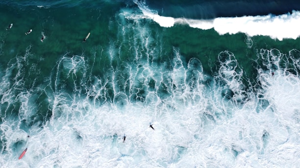 A vibrant scene of surfers riding waves at Waikiki Beach.