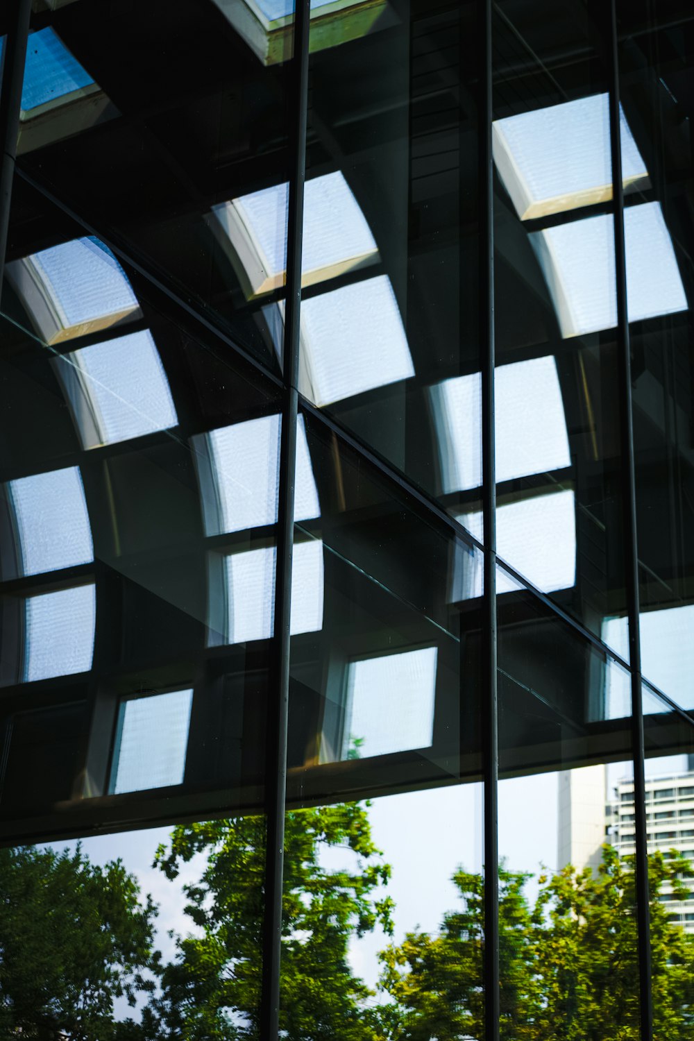 white and black glass window