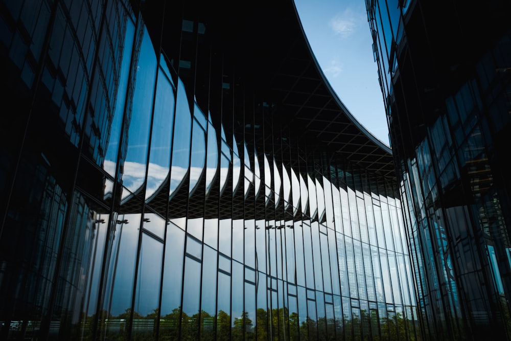 black metal frame glass building