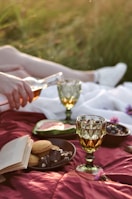 A picnic scene with a red blanket spread on the grass. There are two decorative glasses filled with a beverage, a partially opened book, a plate of cookies, and some chocolate. In the background, a person is pouring more drink into one of the glasses. The setting appears relaxed and casual with a soft, sunlight glow.