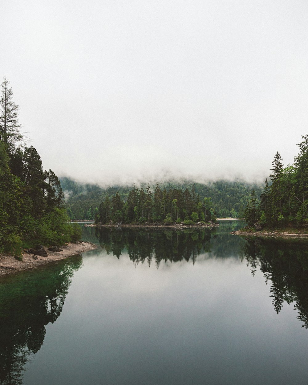 green trees beside river under white sky during daytime