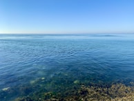 A serene view of the ocean under a clear blue sky, with gentle waves lapping at a rocky shoreline. Seaweed and rocks are visible underwater near the foreground. In the distance, wind turbines are faintly visible on the horizon.