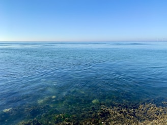 A serene view of the ocean under a clear blue sky, with gentle waves lapping at a rocky shoreline. Seaweed and rocks are visible underwater near the foreground. In the distance, wind turbines are faintly visible on the horizon.