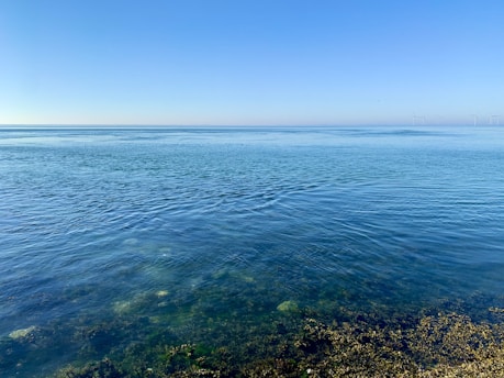 A serene view of the ocean under a clear blue sky, with gentle waves lapping at a rocky shoreline. Seaweed and rocks are visible underwater near the foreground. In the distance, wind turbines are faintly visible on the horizon.