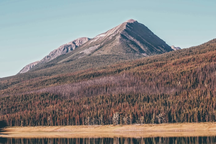 Summer road trips near Nova Hotels in Western Canada