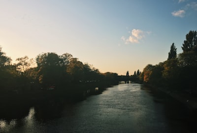 river between trees during daytime york teams background