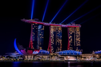 purple lighted bridge during night time