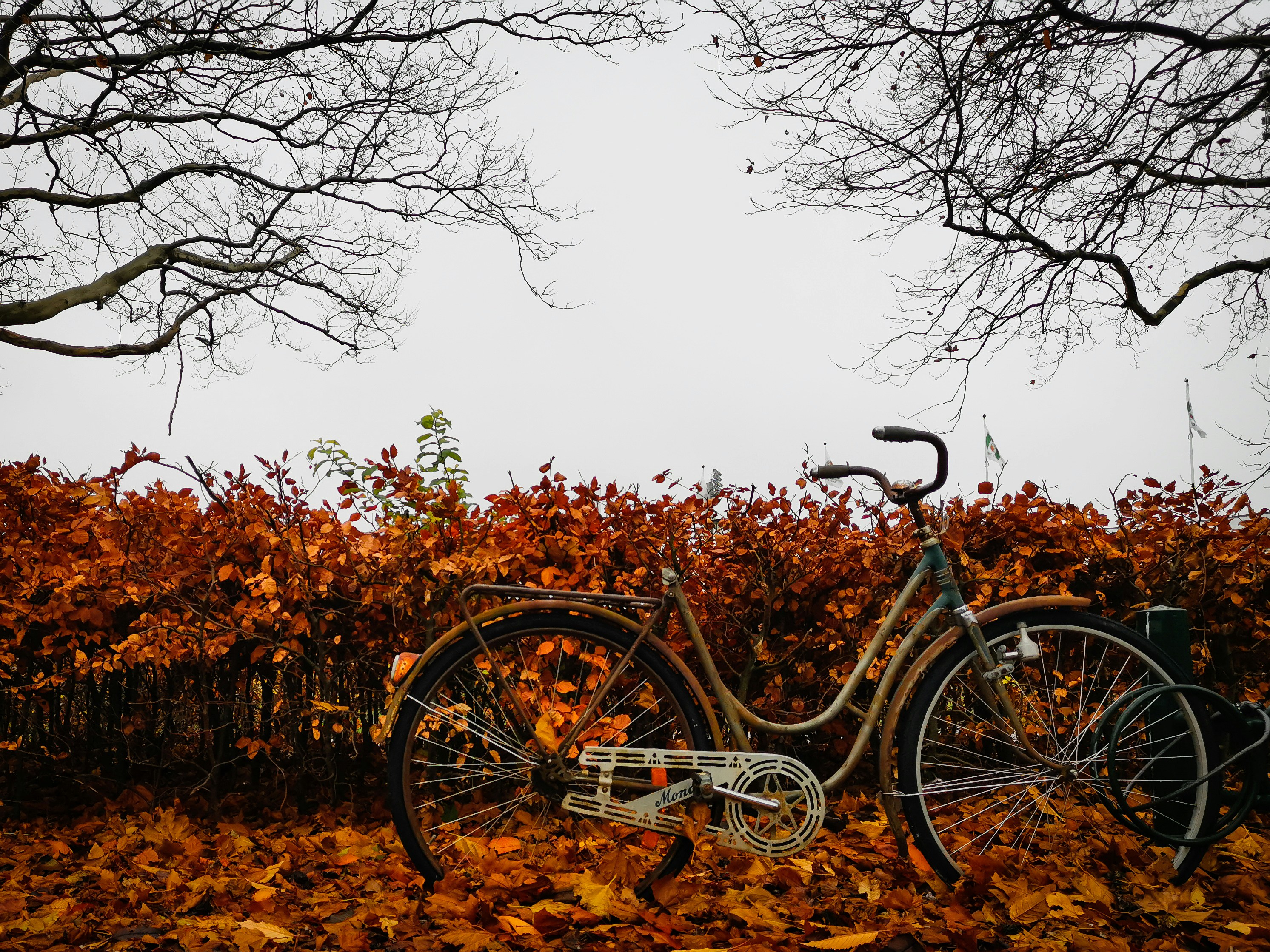 black city bike on brown grass field during daytime