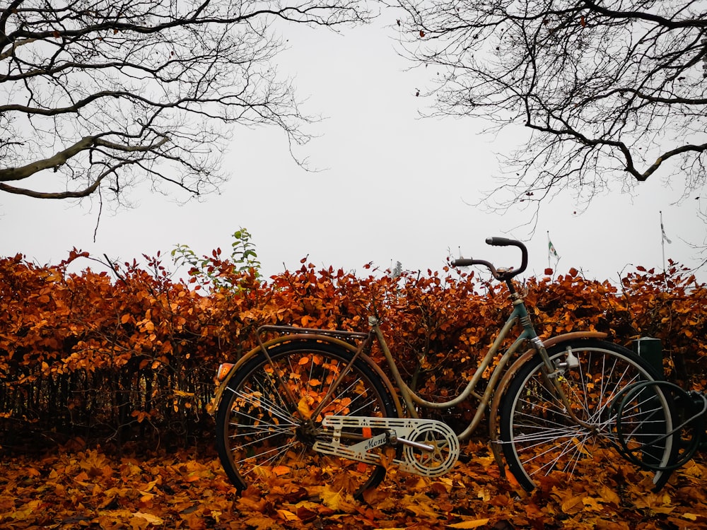 black city bike on brown grass field during daytime