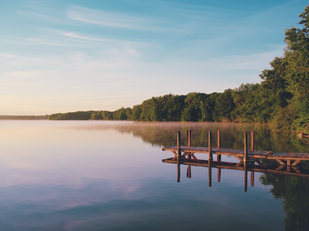 brown wooden dock on lake during daytime