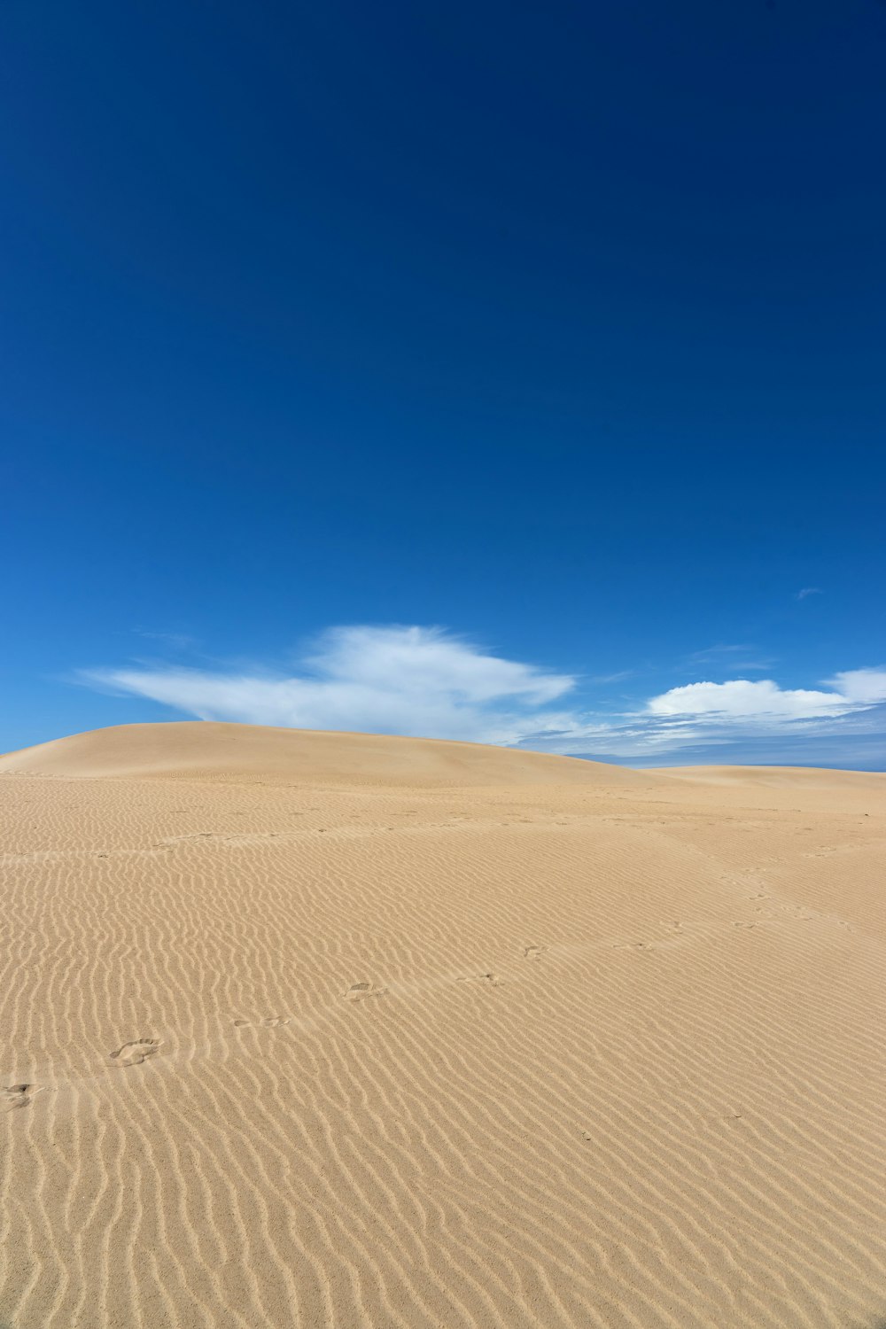 brown sand under blue sky during daytime