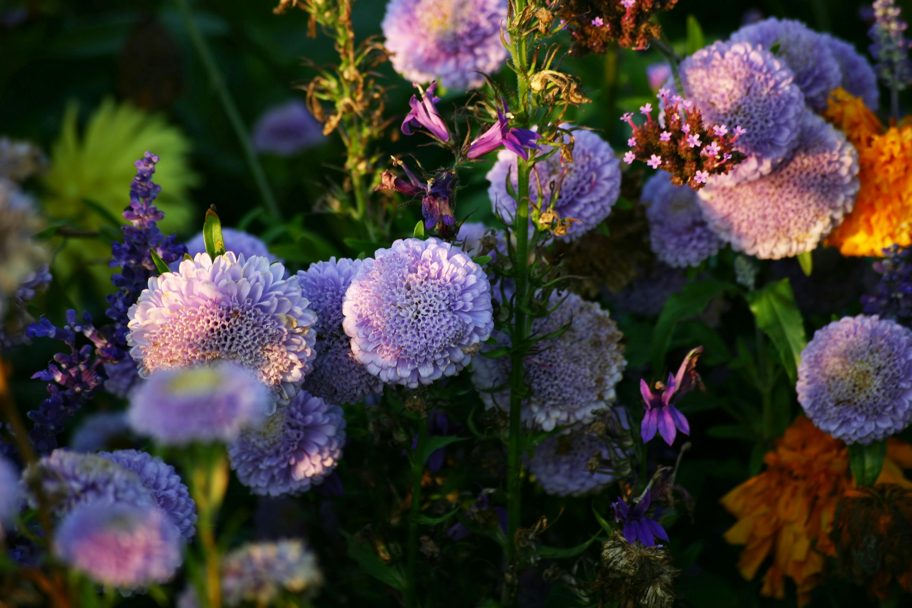 Photo by nadia_hicetnunc