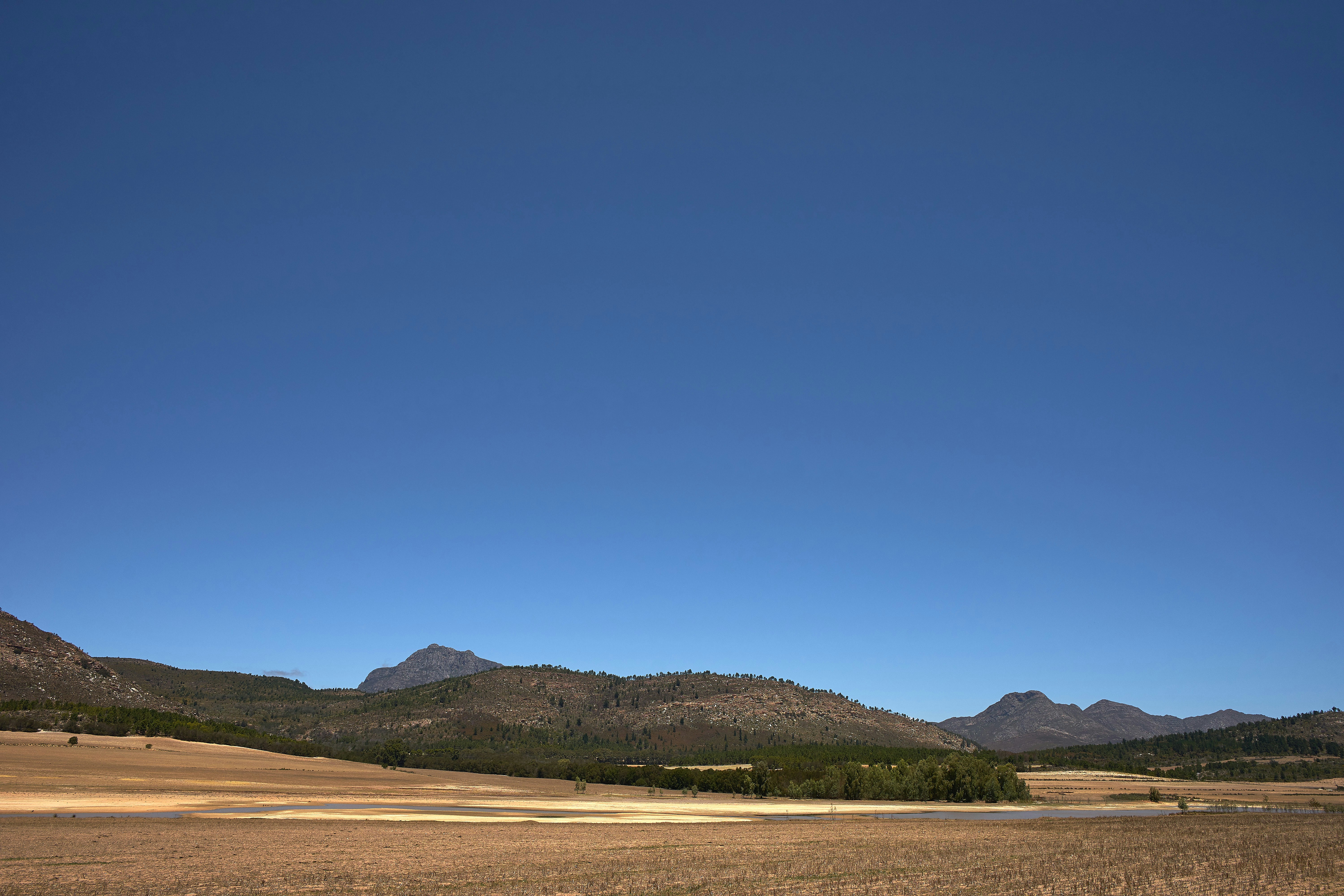 Photo by wolfgang_hasselmann