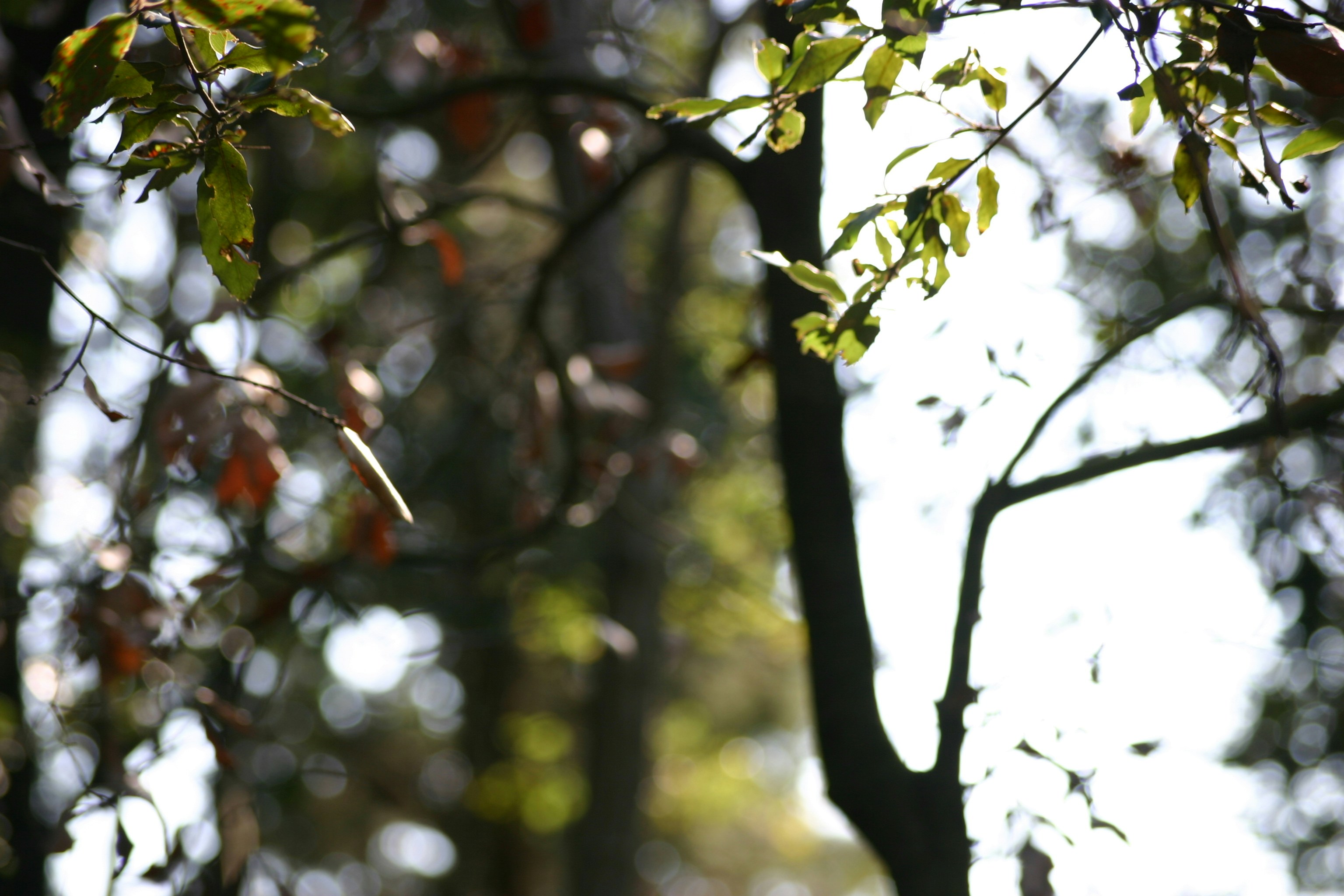 Photo by nadia_hicetnunc