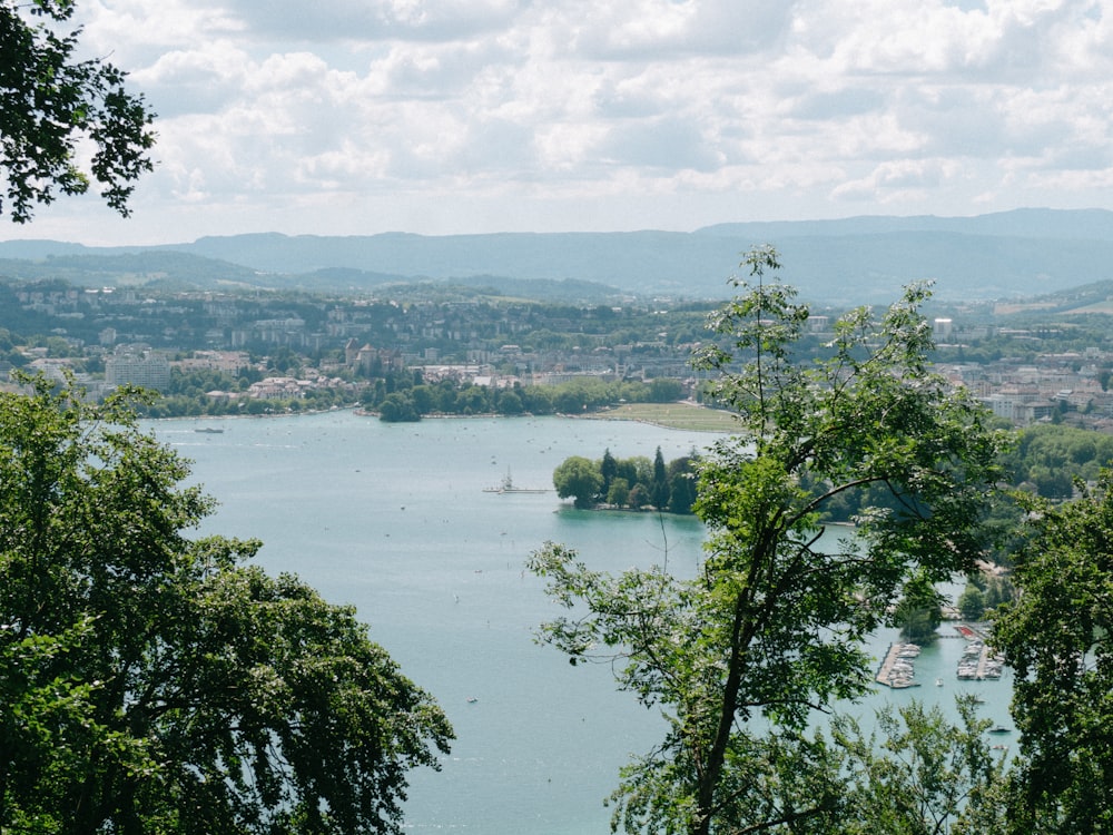 green trees near body of water under white clouds during daytime