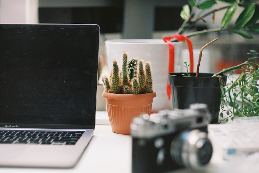 black and silver dslr camera beside cactus plant