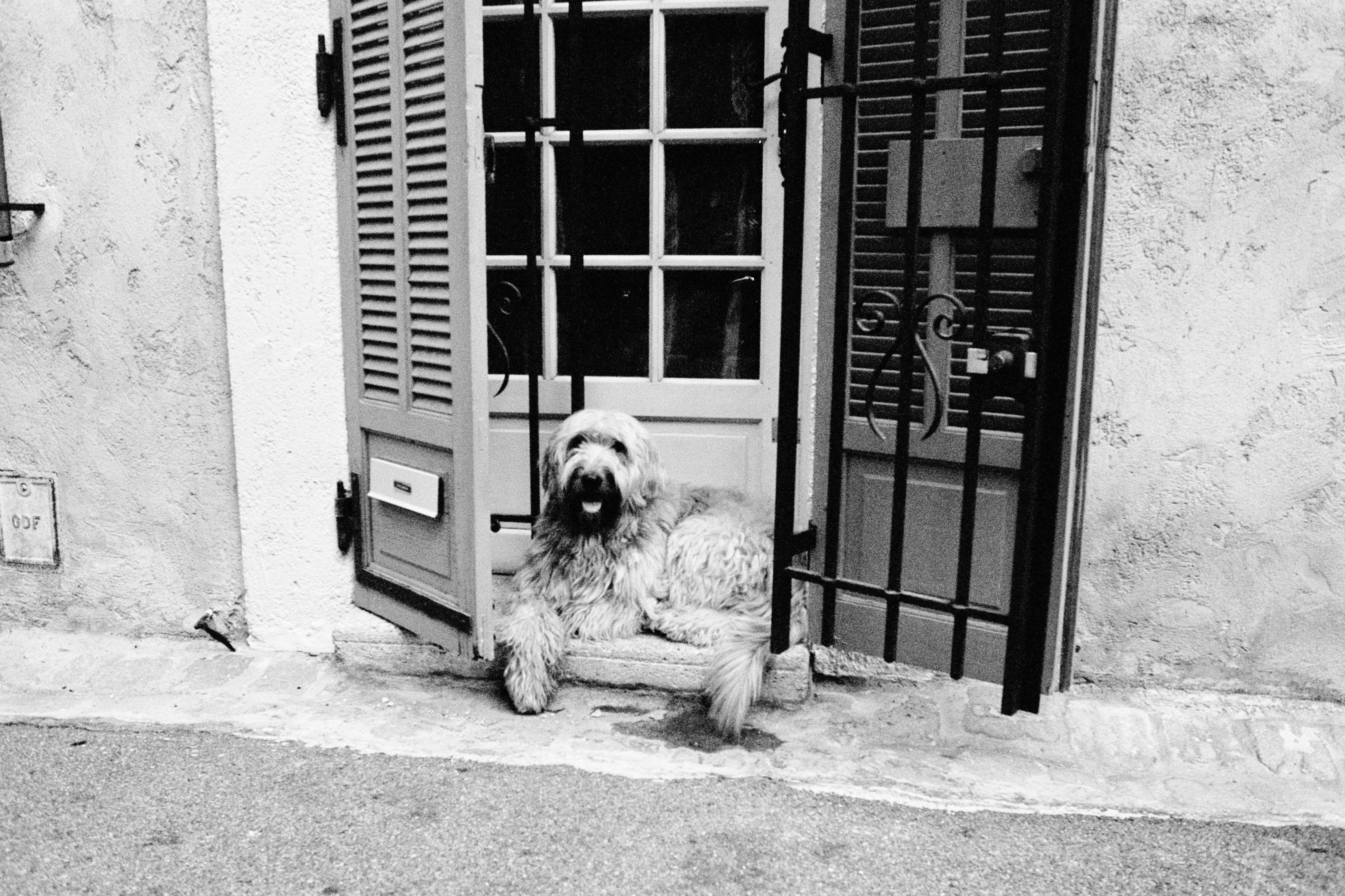 Sniffing the Threshold: Emotional Territory Reset