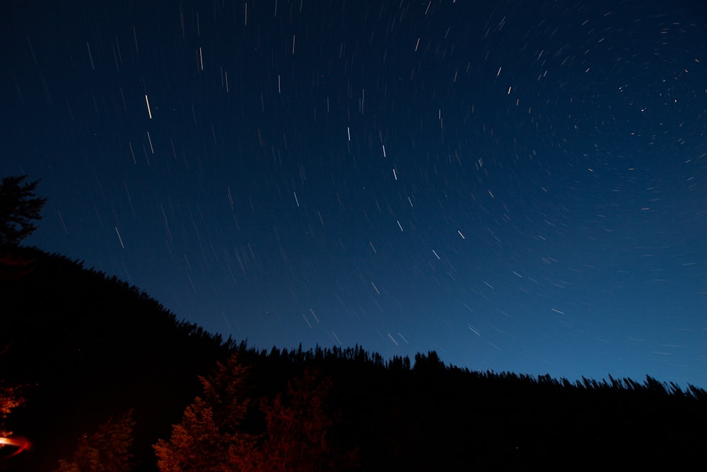 silueta de árboles bajo el cielo azul durante la noche