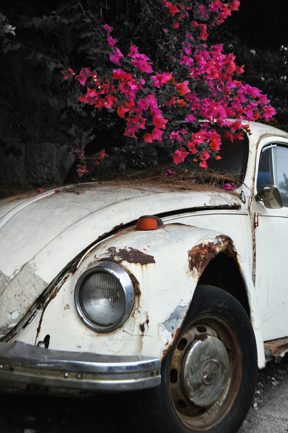 white car with pink flowers