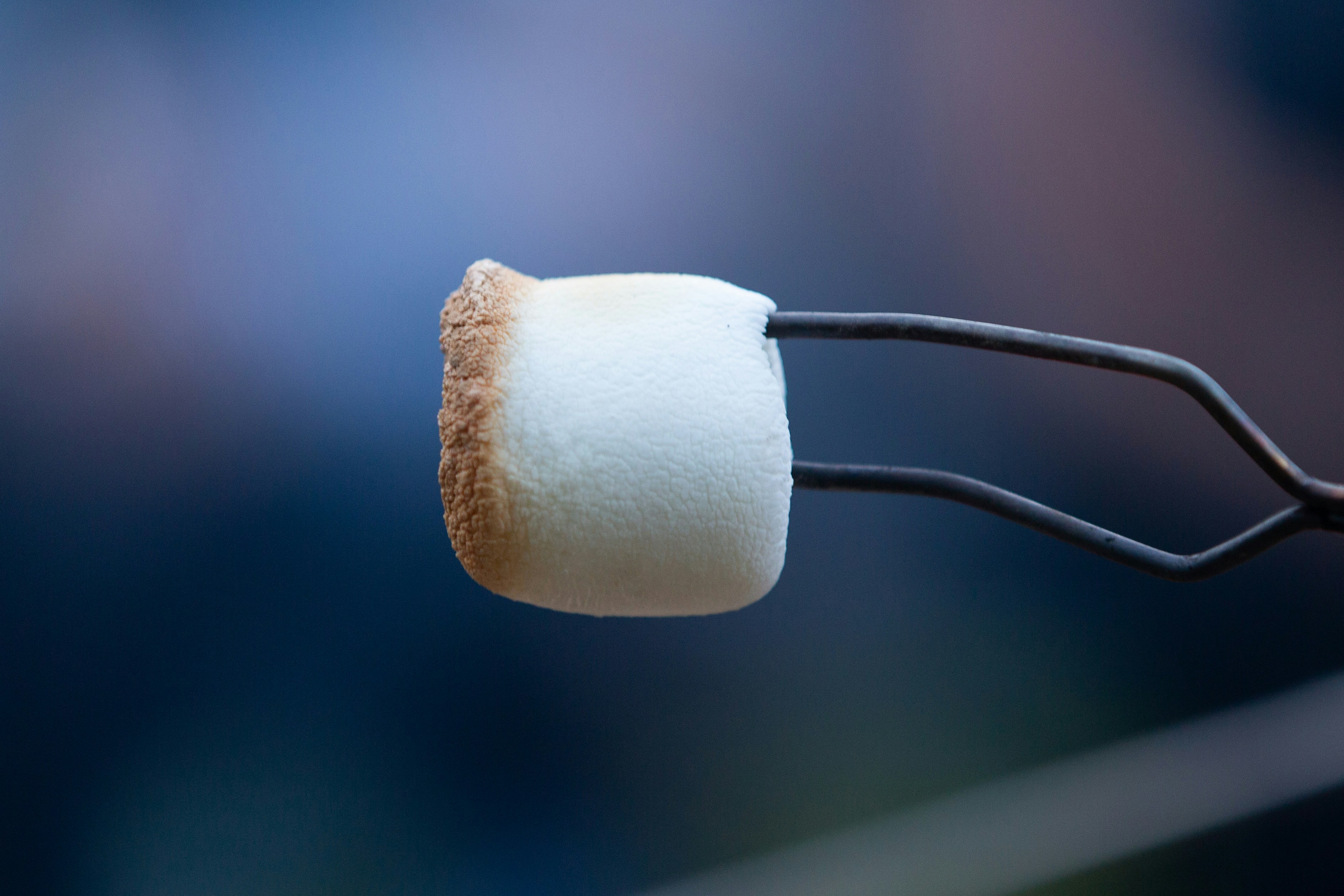 About the marshmallow experiment