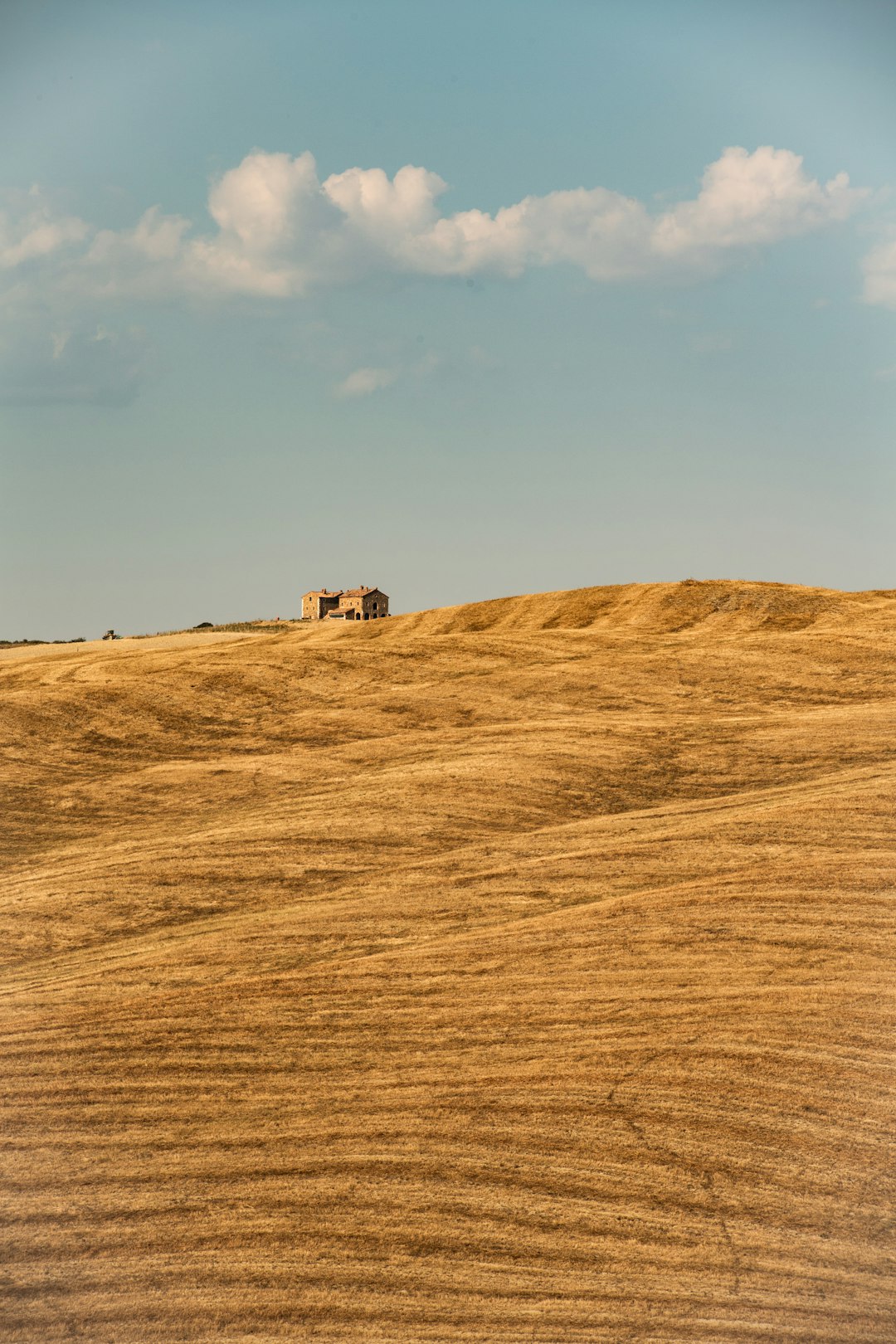 brown field under blue sky during daytime