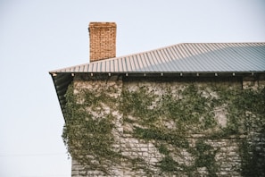 brown brick wall on green grass field