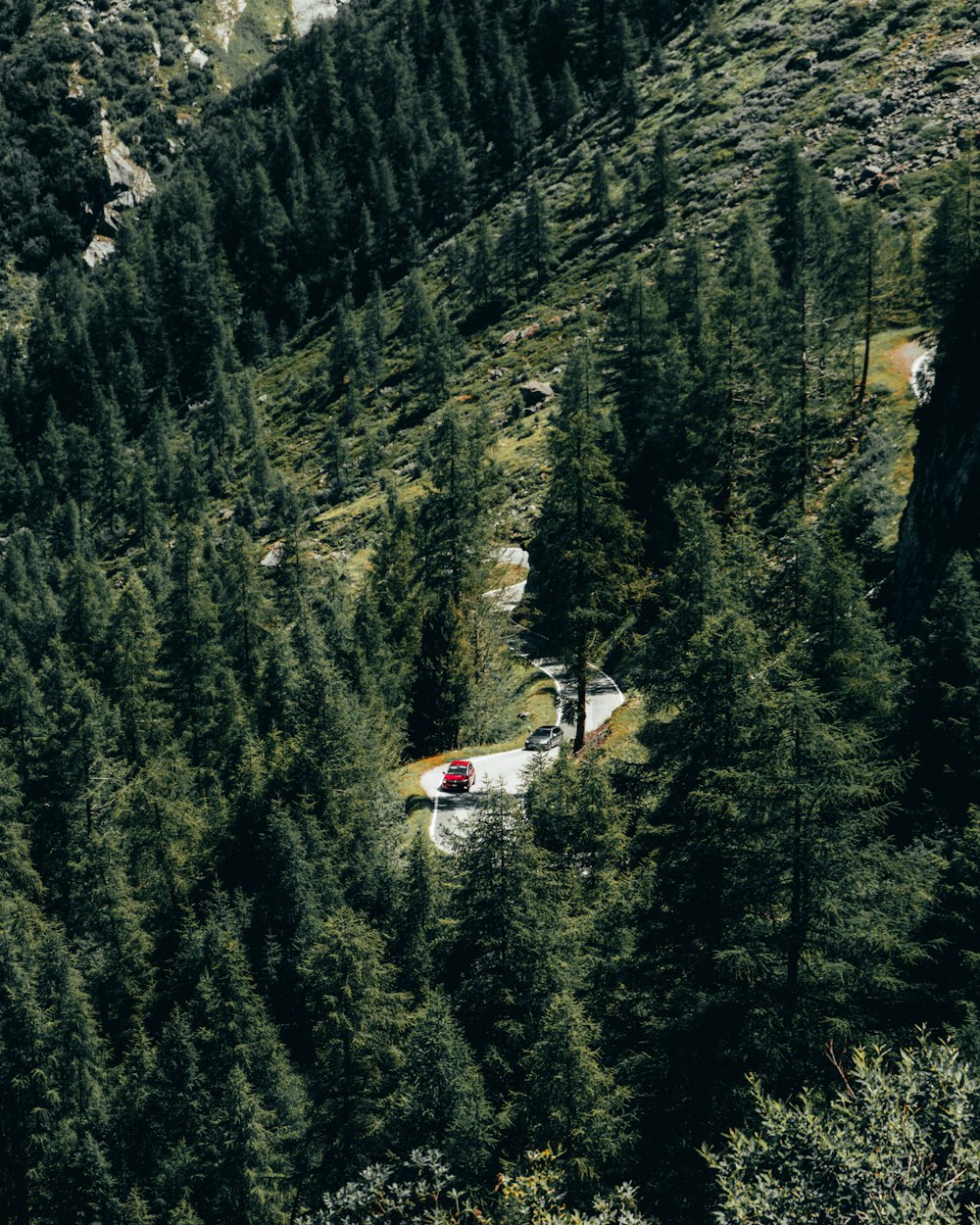 white and red airplane flying over green trees during daytime